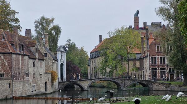 ”Asta cred că spune multe despre ceea ce fac”. Ce se întâmplă în comunitățile de români din Belgia, Franța și Italia