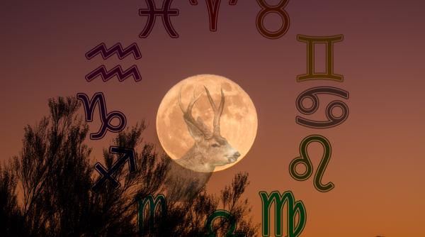 Horoscopul lunii noiembrie: Ce momente cruciale te așteaptă în dragoste, muncă și viața personală