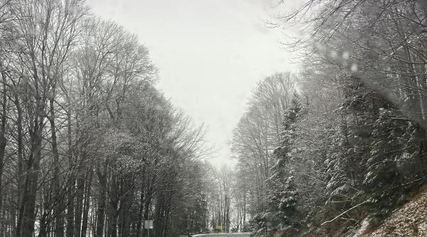 Cum va fi vremea de sărbători în România