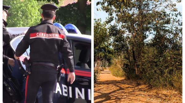 Un agricultor italian a rămas fără măslini. Hoții au furat 300 de arbori