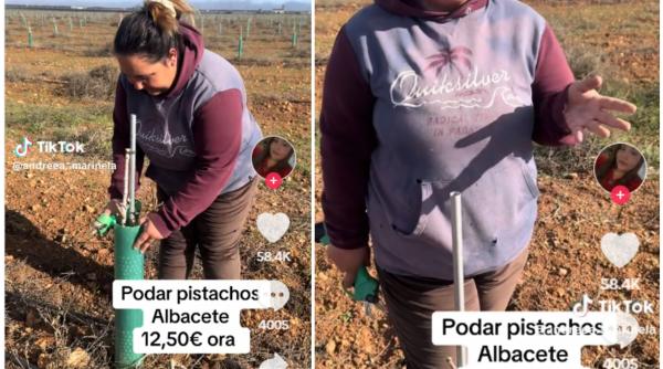 O româncă din Spania caută muncitori pentru o fermă de fistic. Salariu: 12,50 euro pe oră