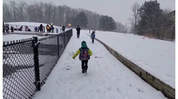 Elev de 11 ani, dat jos din autobuz, în frig și zăpadă, de un șofer italian pentru că "se scumpise biletul" 