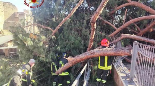 Un copac a căzut peste un turist român la Roma 