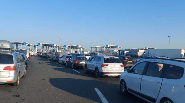 Escrocheria cu neplata rovinietei. Românii din diaspora pot cădea foarte ușor în capcană 