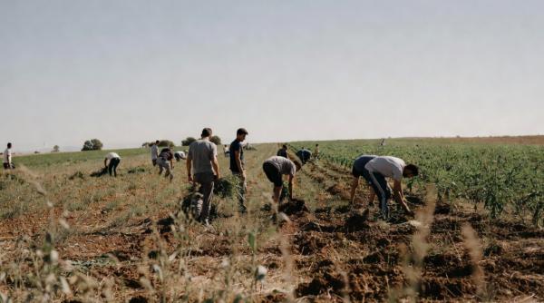 Muncitor români exploatați de clanul „Muti” în Spania: 17 arestări în urma unui raid al poliției