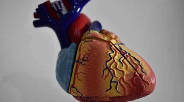 Șase din zece femei din SUA vor suferi de boli cardiovasculare