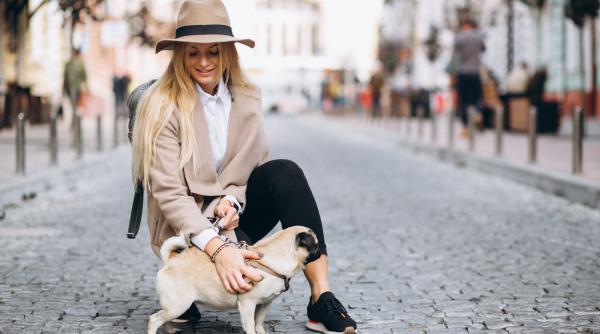 Influencerii din Dubai și-au abandonat animalele de companie și au părăsit țara. Au fost și cerere de eutanasie