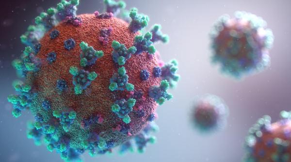 Marea Britanie anunţă al treilea caz al unui cetăţean britanic suspect de infectare cu hantavirus