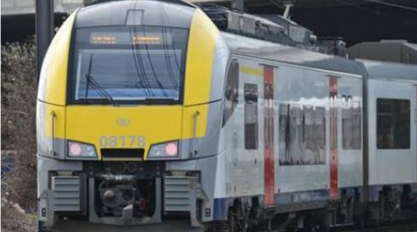 Un cangur a dat peste cap traficul feroviar din Belgia