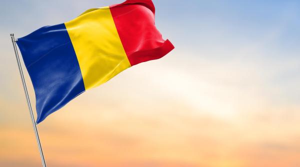 Statul român ar trebui să consulte mai mult diaspora pentru îmbunătățirea practicilor administrative - rezultat sondaj