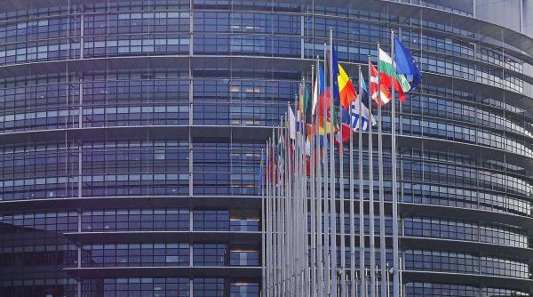 Apel din Belgia la eurodeputații români: Nu există o reală "descindere" în teren!