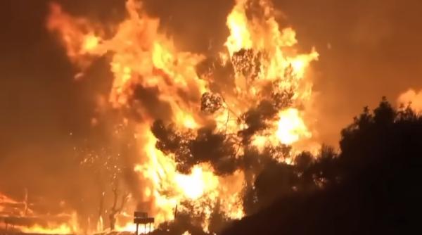 Incendii devastatoare în Franța: Apel către românii din Gironde și din localitățile aflate în apropiere de Bordeaux