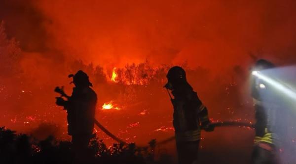 Unul dintre incendiile din Grecia ar fi fost provocat de o turbină eoliană. Două persoane arestate