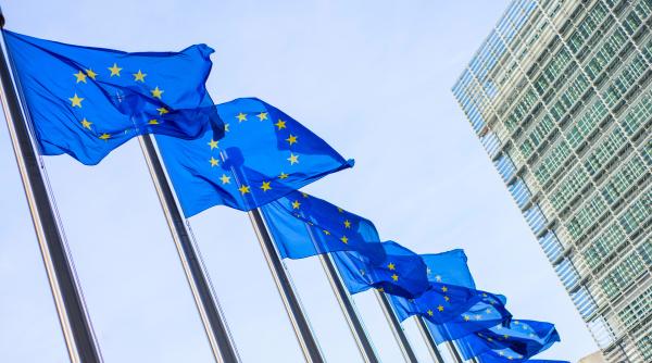 Sondaj „Diaspora creativă”: 80% dintre respondenți cred că România ar trebui să fie mai activă în UE