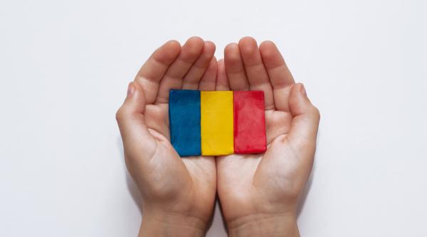 Aveți rude sau prieteni în diaspora? - rezultat sondaj