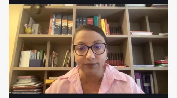 Problemele cu care se confruntă românii angajați în Franța. Claudia Puiu Barraud, semnal de alarmă
