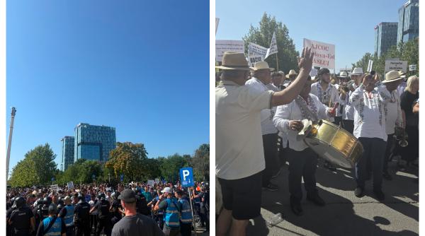 Peste 1000 de ciobani au ieșit la protest în Piața Victoriei. Oierii cer oprirea sacrificării animalelor și deblocarea exporturilor