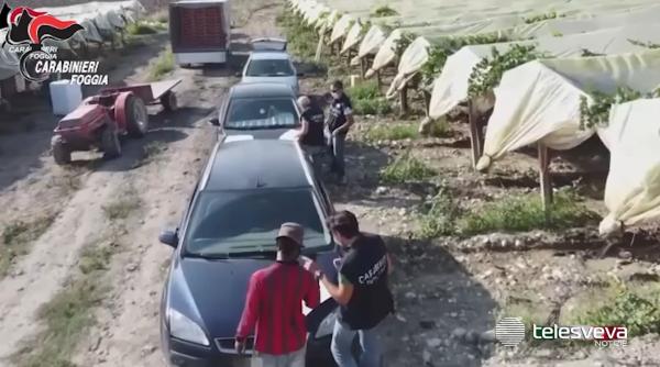 Patron român, anchetat în Italia după ce a adus peste 100 de români la muncă și-i plătea cu maximum 3 euro pe oră