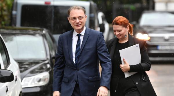 Guvernul Luca Niculescu înființează Consiliul Consultativ al Românilor de Pretutindeni. Programul complet pentru românii din diaspora 