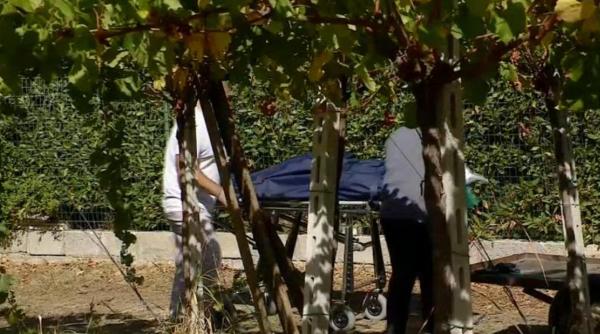 Mister total în cazul morții unei românce din Italia. Părăsită în benzinărie de soțul său, a fost apoi găsită moartă într-o livadă