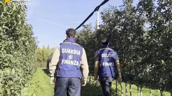 84 de muncitori străini, inclusiv români, exploatați și umiliți de angajatorul italian. Poliția i-a confiscat 790.000 euro